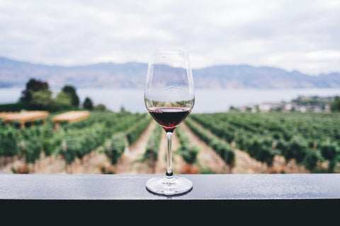 Sour Grapes - Fight exploitation in the Fruit & Wine Industry