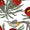 holiday-protea-sugarbird