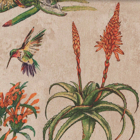 colorful fynbos scene